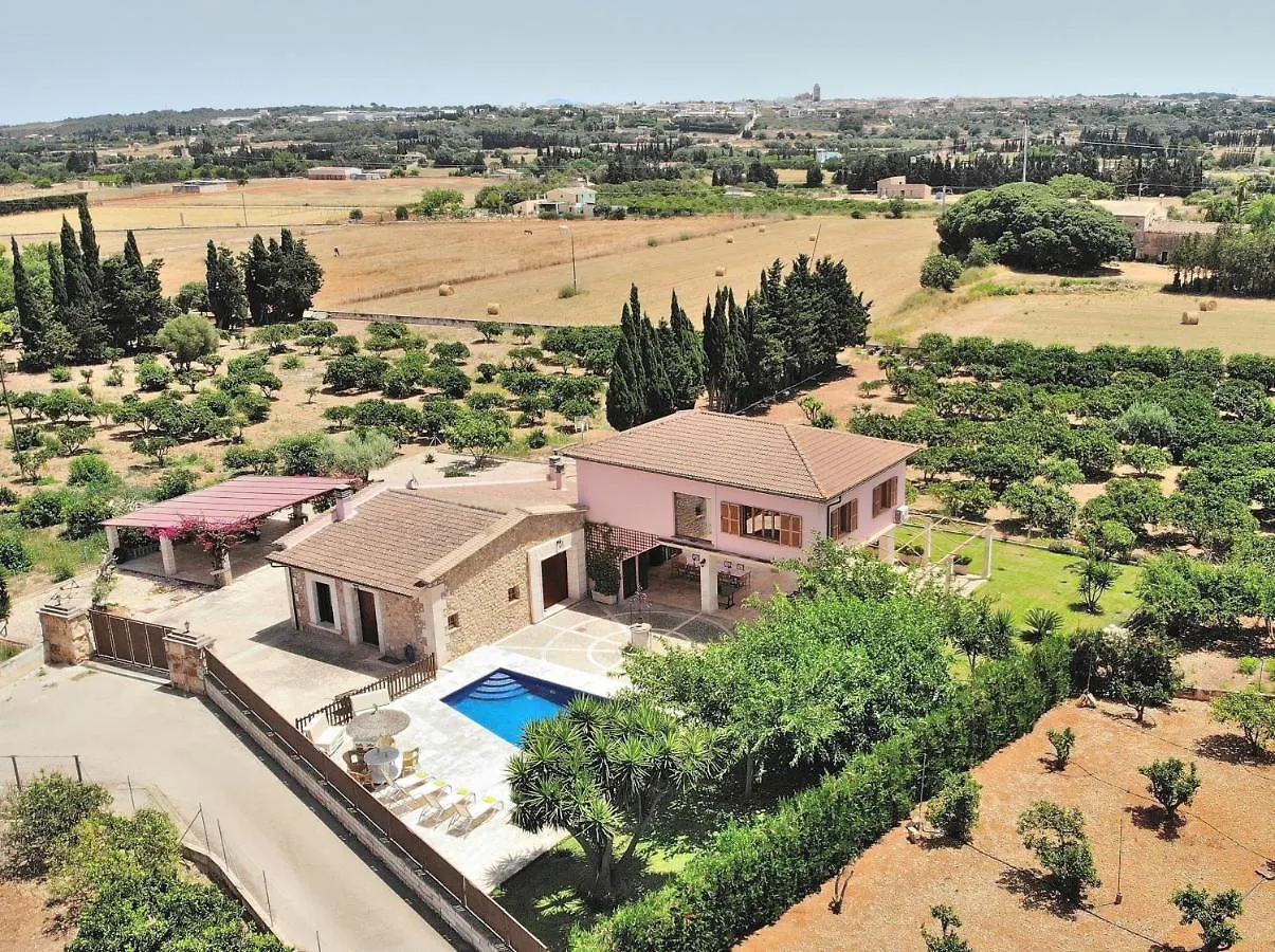 239 Villa Biniaco Etv4993 By Mallorca Charme Muro