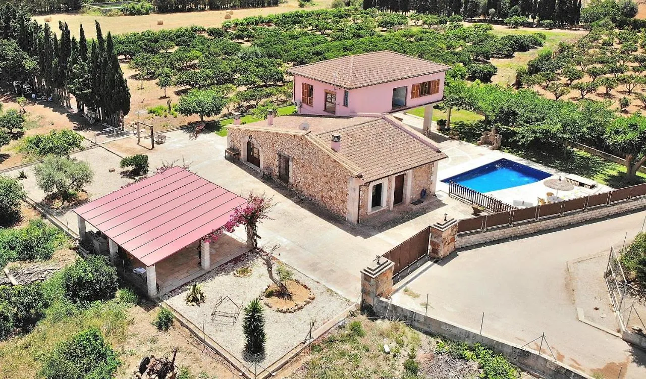 239 Villa Biniaco Etv4993 By Mallorca Charme Muro